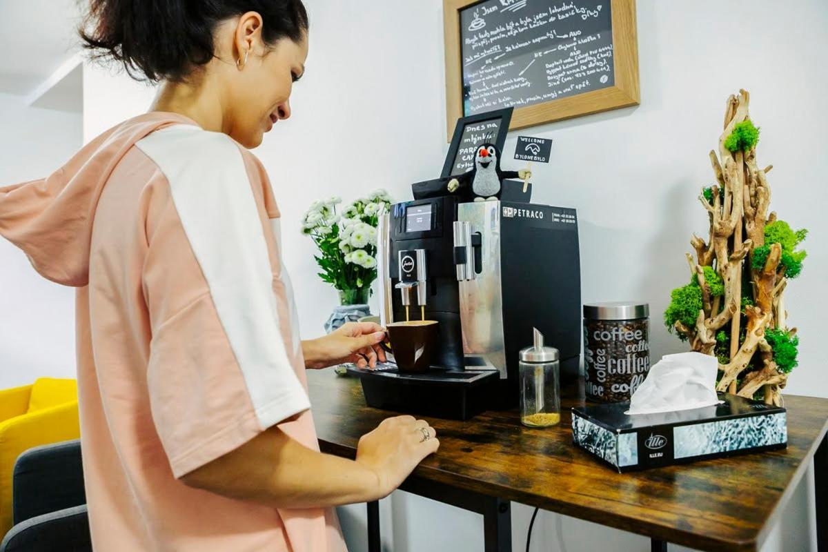Bylo Nebylo Apartmany Vítkovice エクステリア 写真